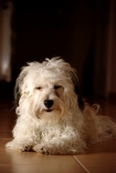 20100117 190257.jpg